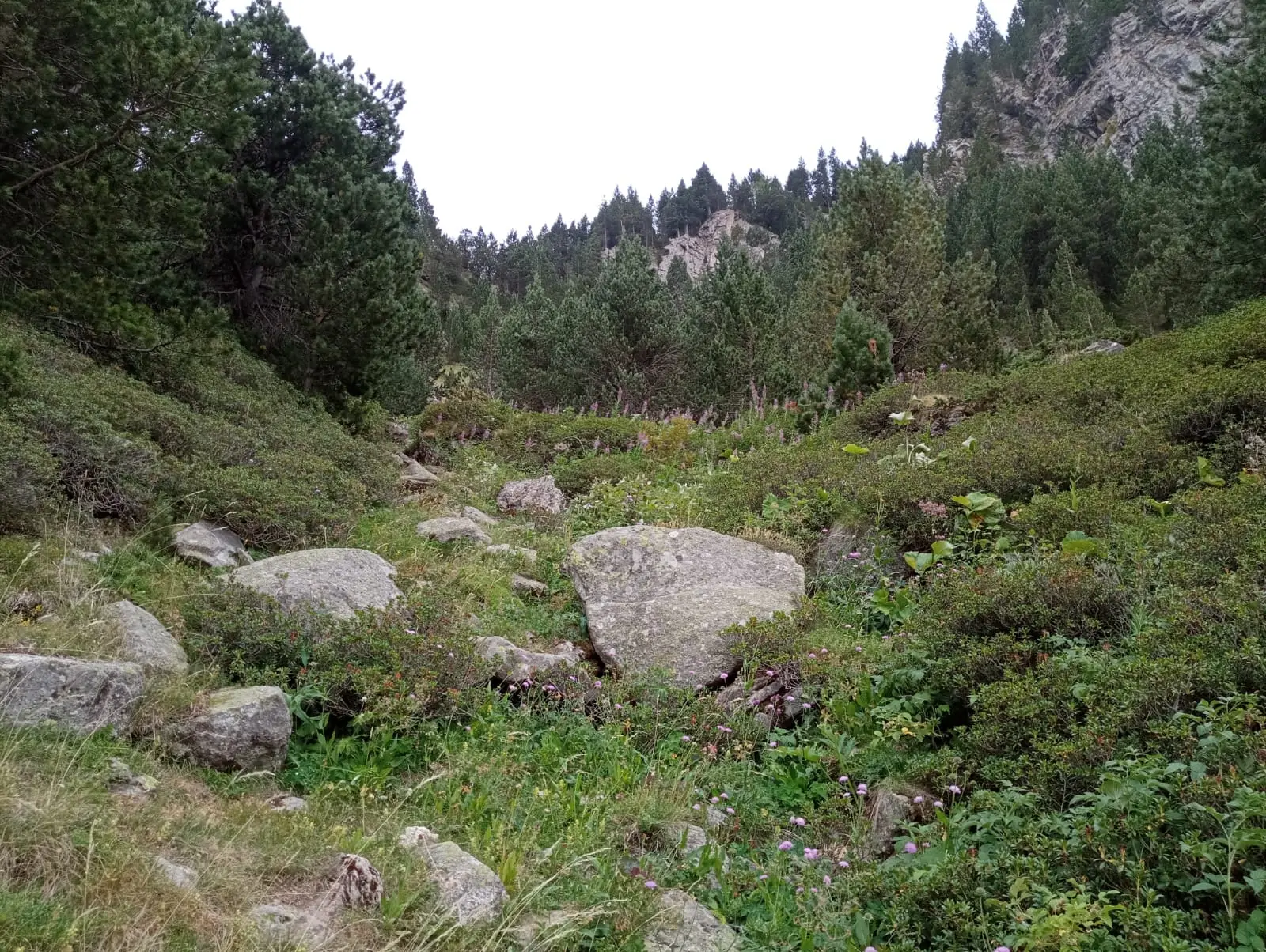 Vista del camino hacia la vía ferrata