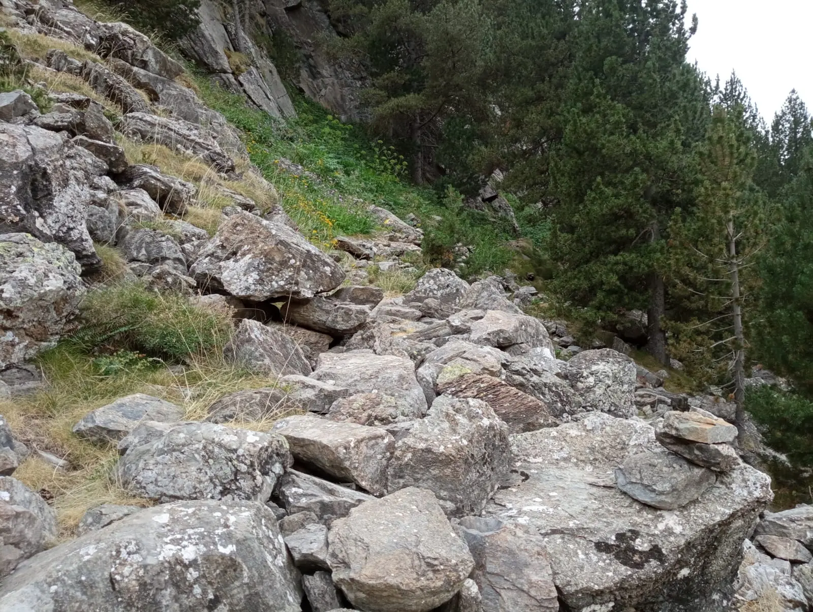 Camino hacia la vía ferrata Clots de l'Aspra