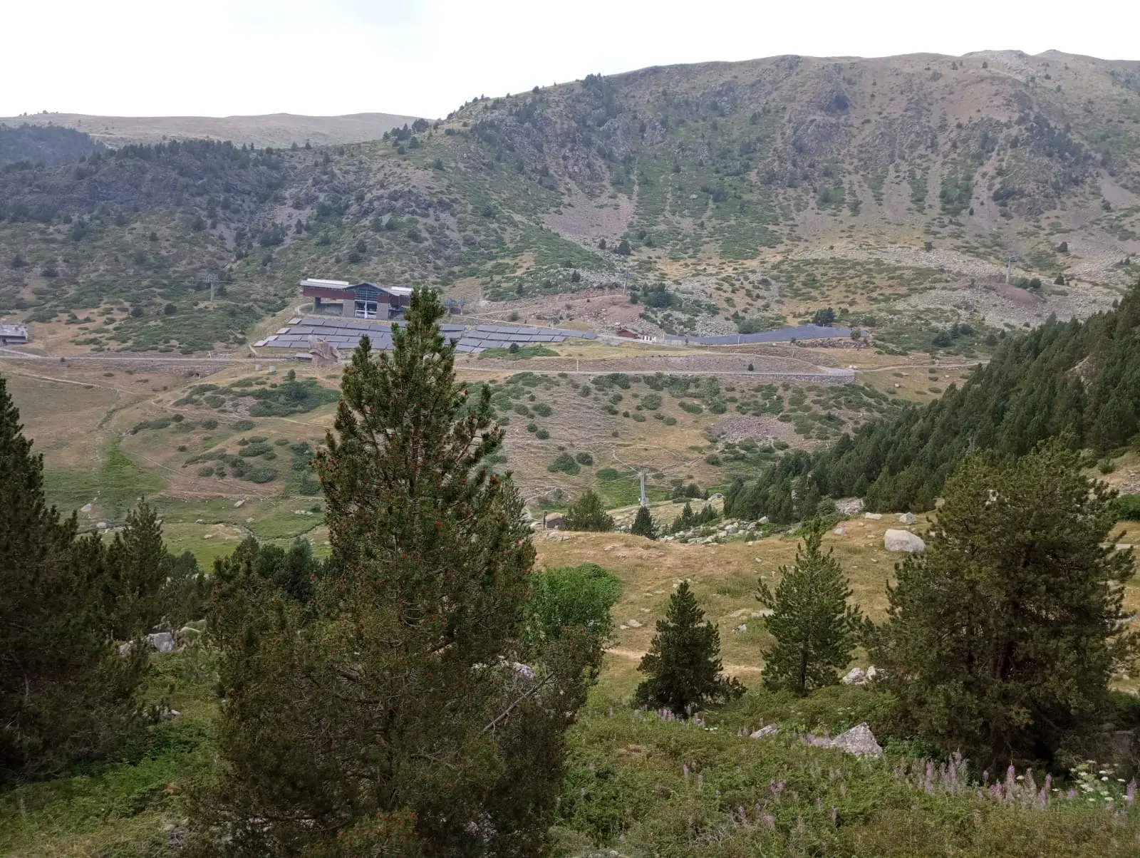 Vista hacia el rocódromo desde la vía ferrata