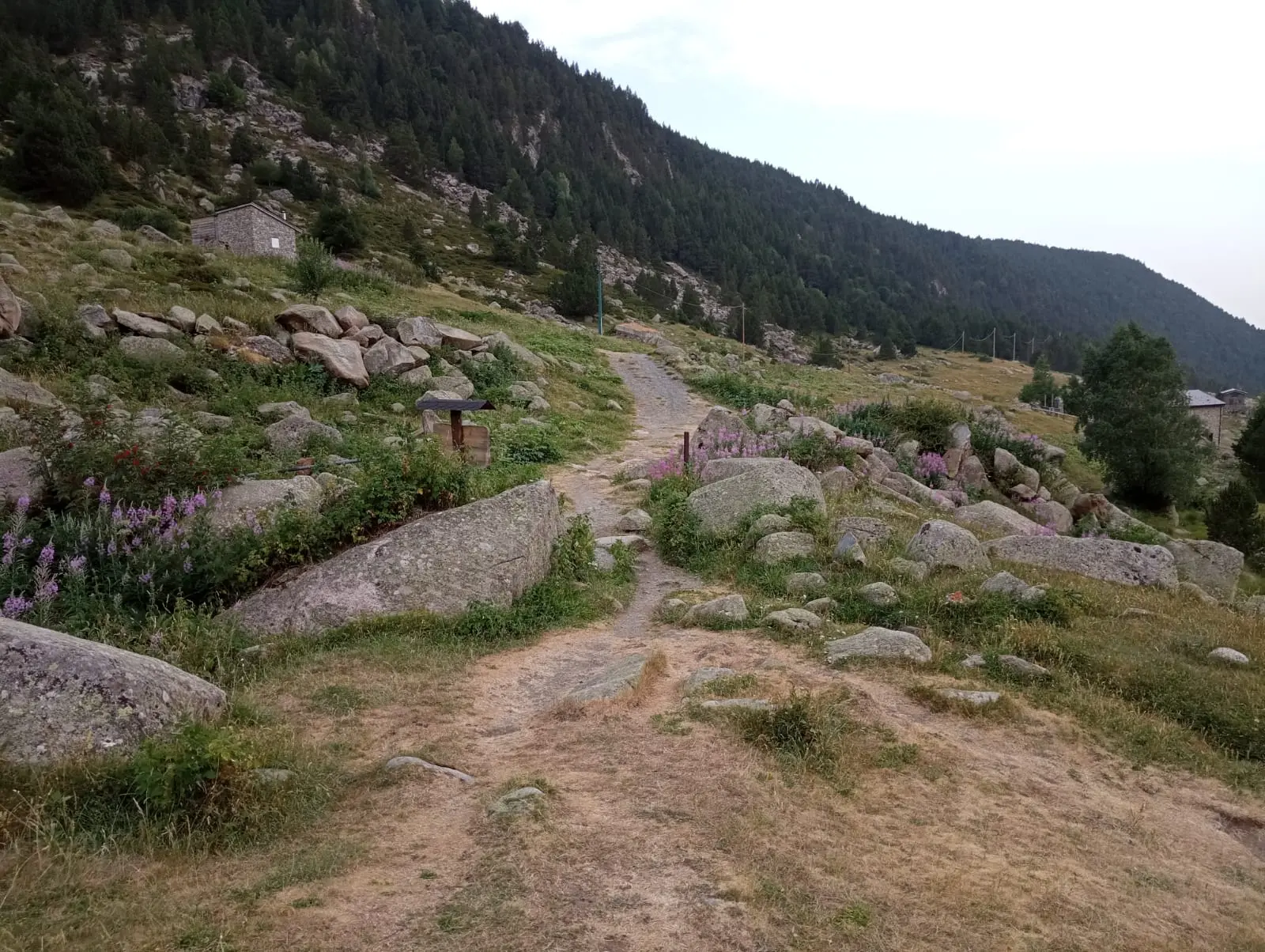 Camino hacia la vía ferrata Clots de l'Aspra