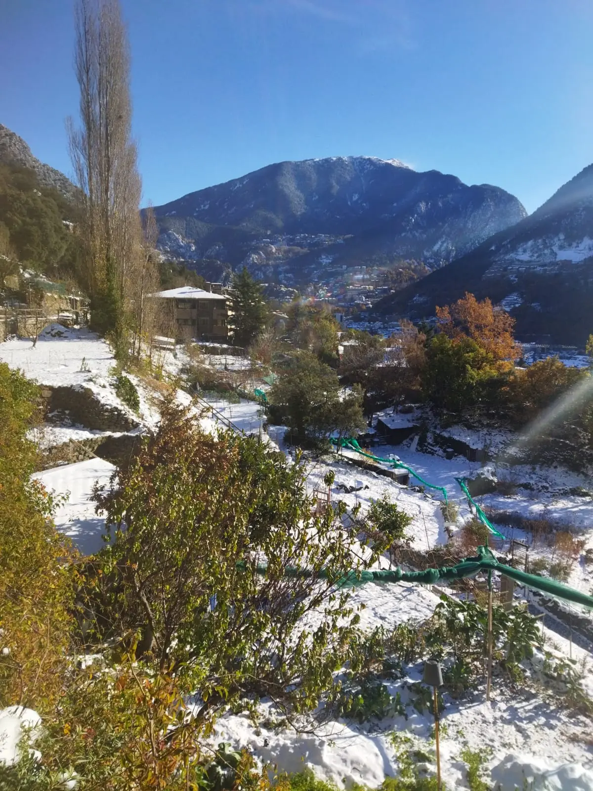 Huertos en el Rec del Solà en invierno