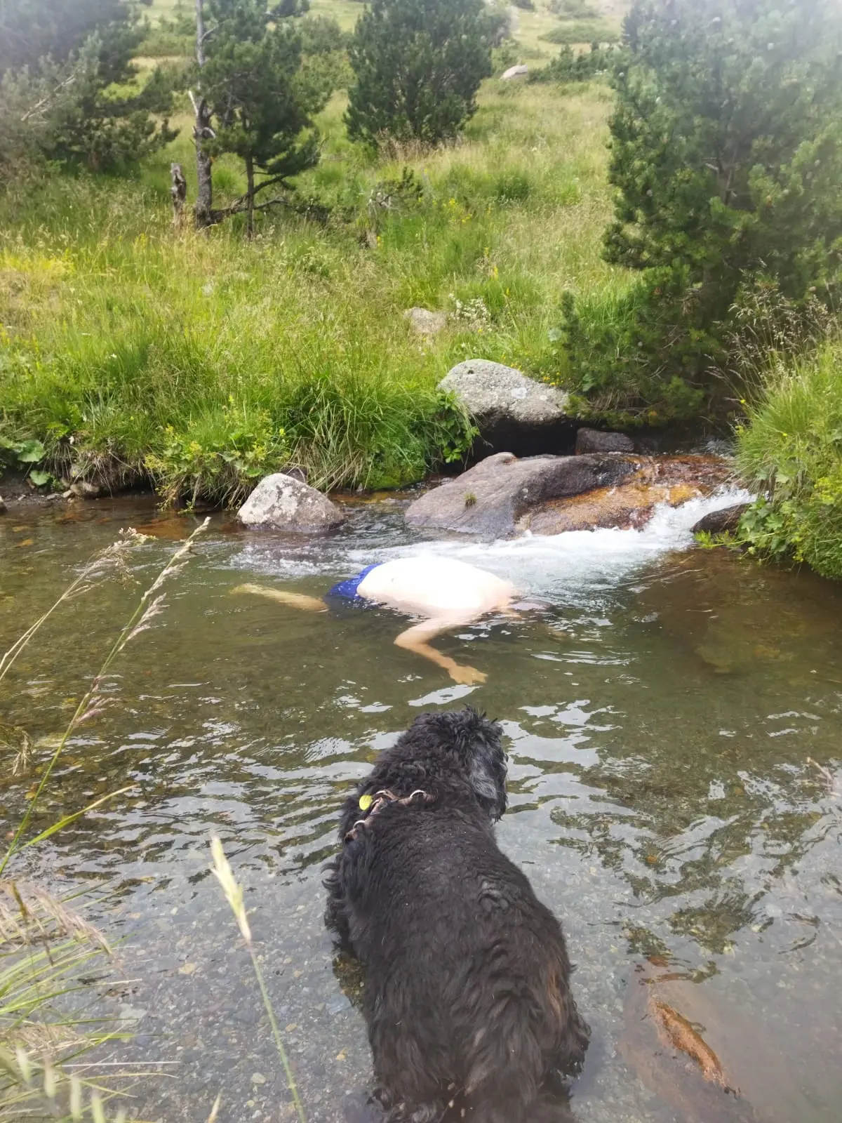 Bañándome en el río cerca del puente tibetano de Encamp