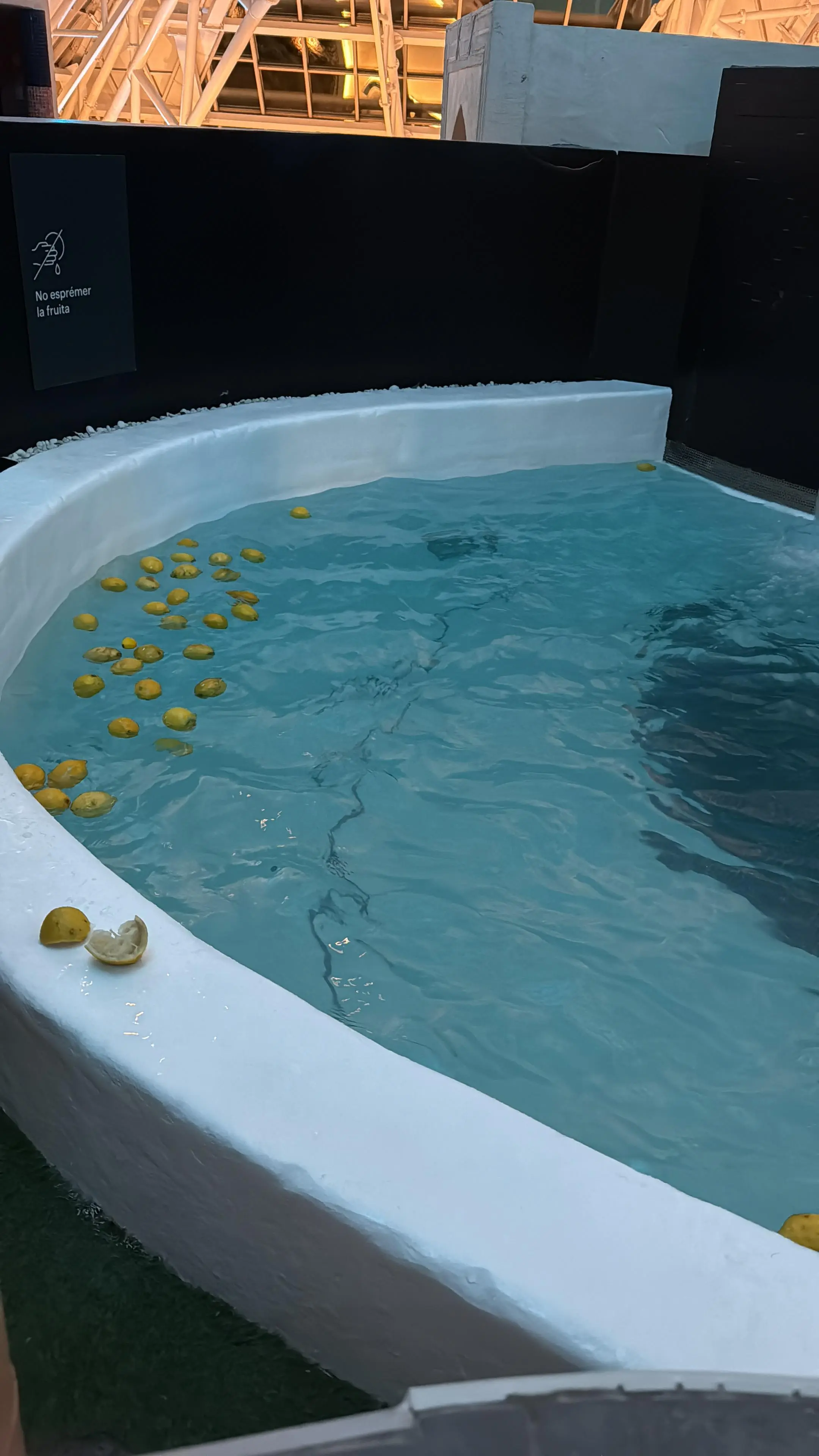 Baño de limones