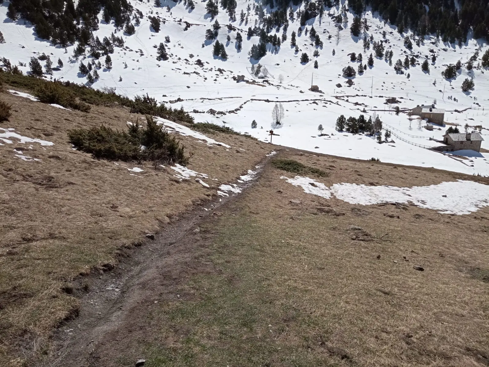 Sendero en el bosque hacia el puente tibetano de Encamp
