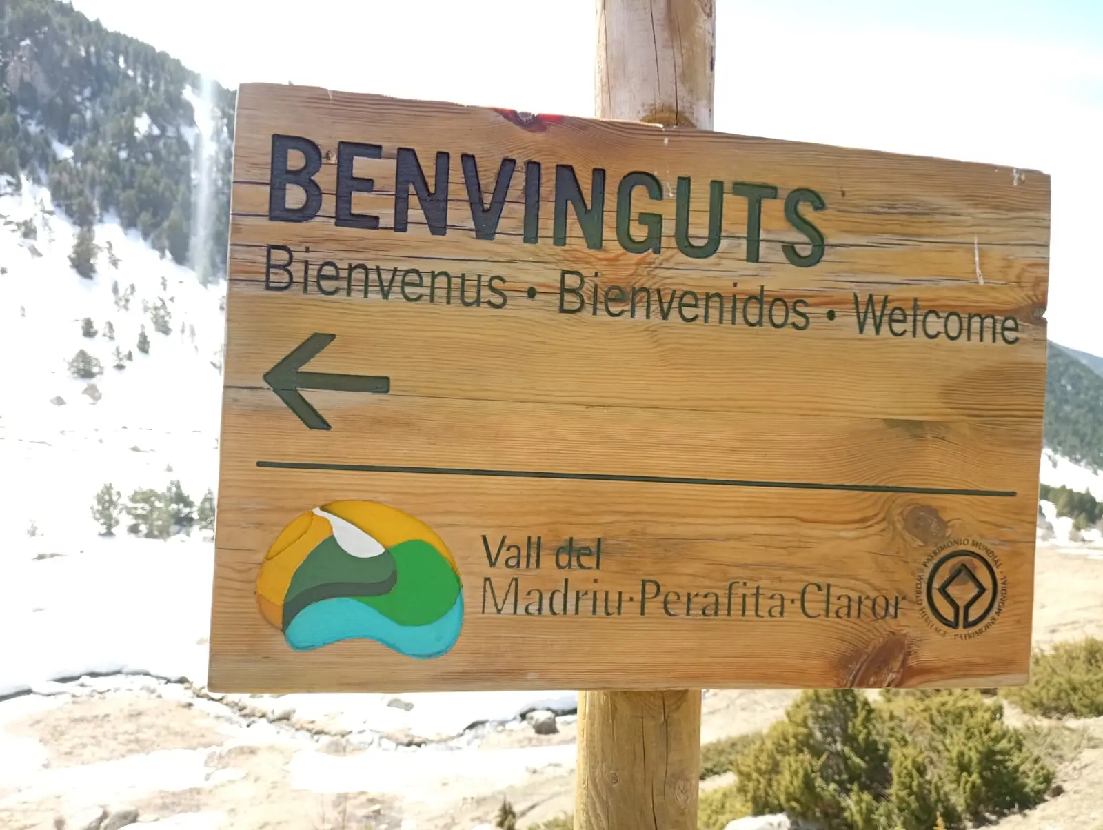 Ruta hacia el puente tibetano rodeada de vegetación