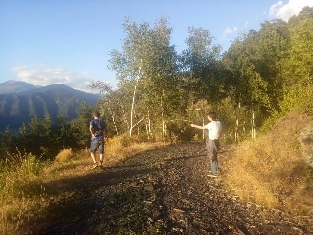 Sentier dans la Vallée du Madriu, avec des arbres et les montagnes en arrière-plan