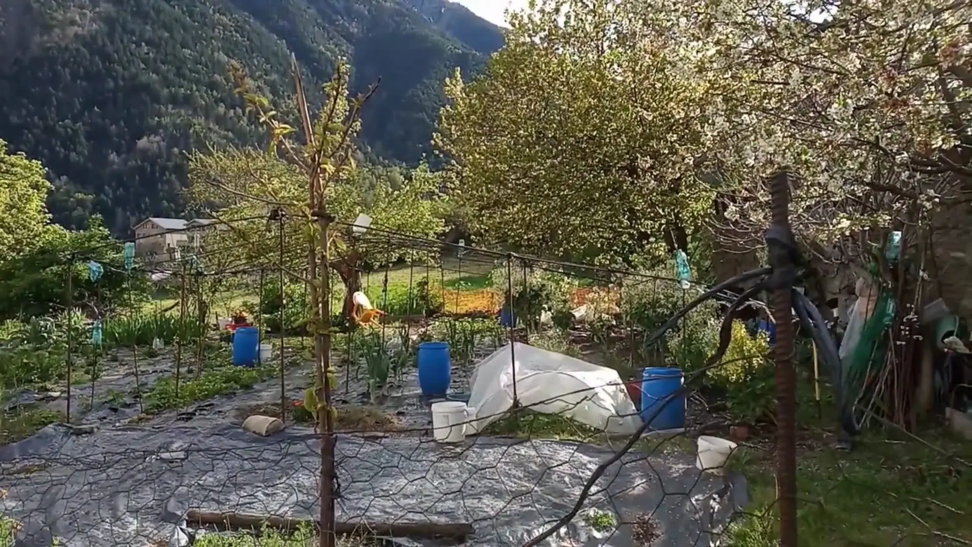 Vegetable garden in Sispony