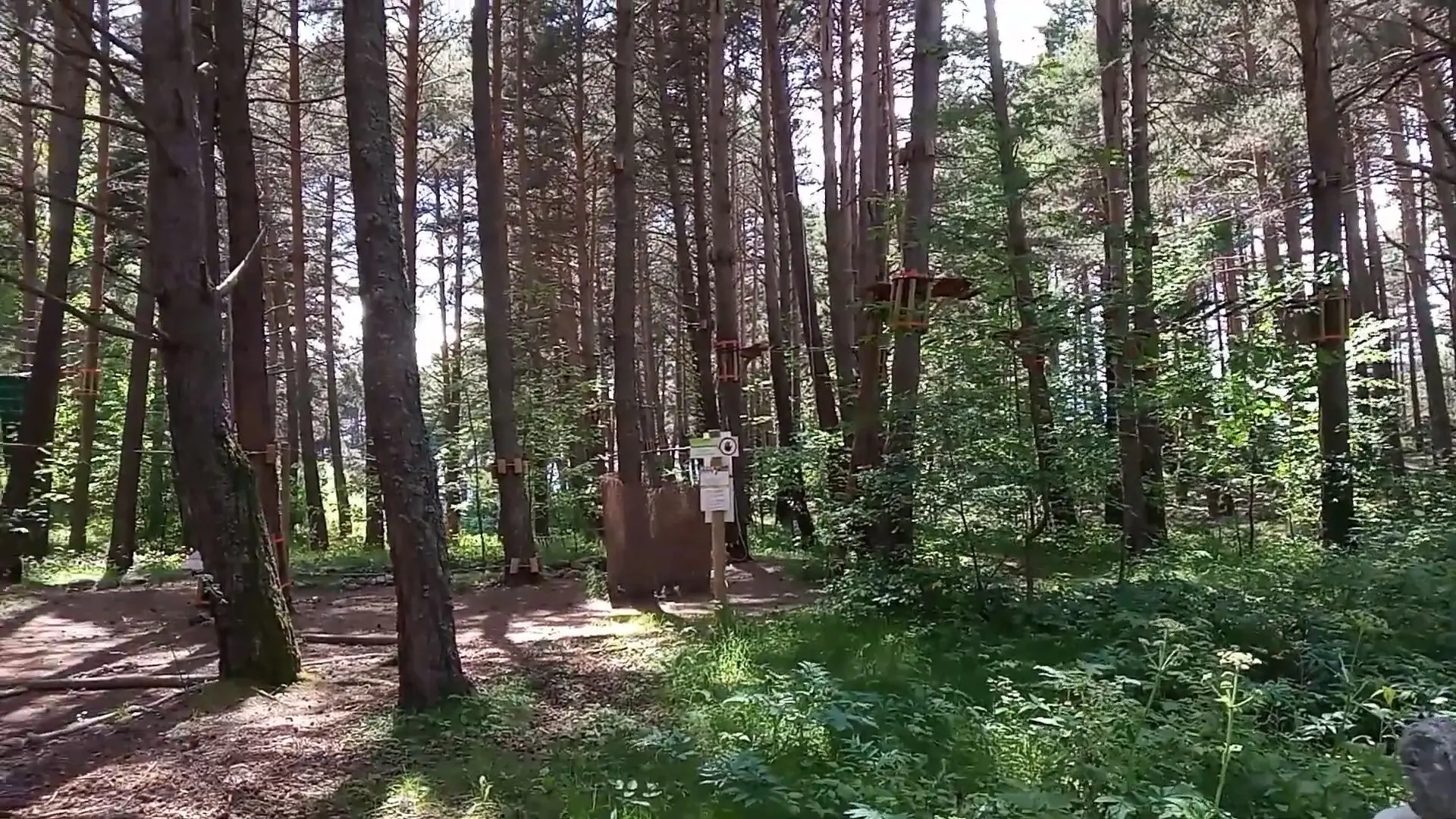 Interior del Bosc Aventura Engolasters