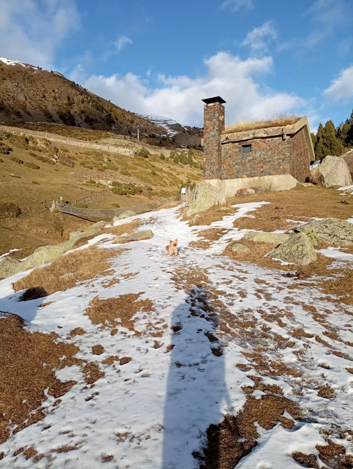 Puente tibetano de Encamp con nieve y perro