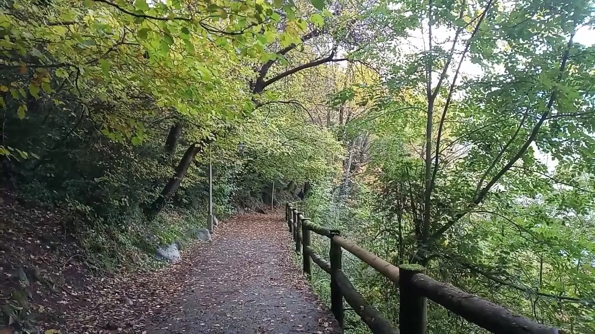 Rec del Obac sous les arbres